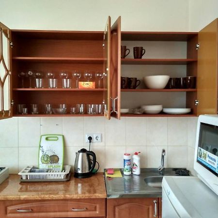 Apartments Domovik Просторная Квартира С Видом На Горы Mukaçeve Dış mekan fotoğraf