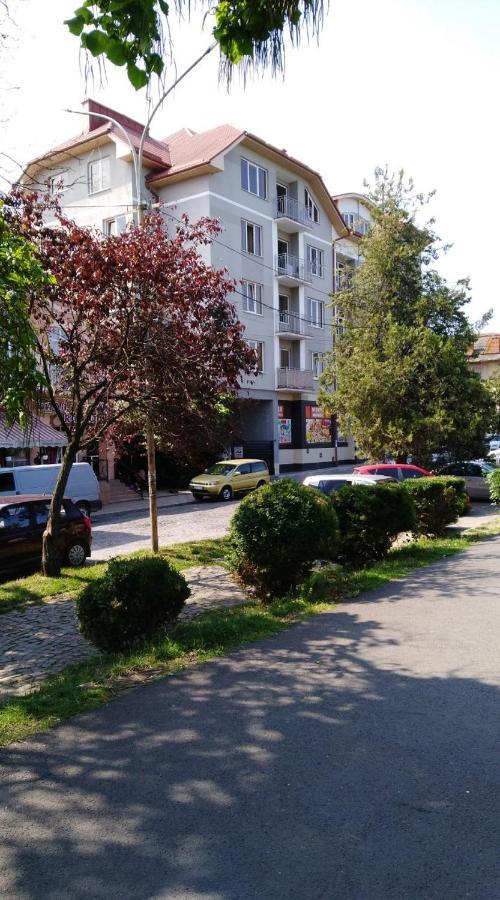 Apartments Domovik Просторная Квартира С Видом На Горы Mukaçeve Dış mekan fotoğraf