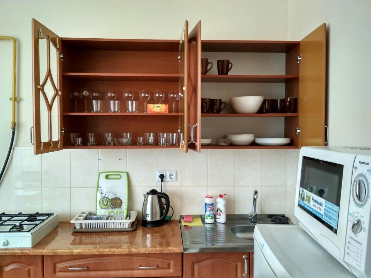 Apartments Domovik Просторная Квартира С Видом На Горы Mukaçeve Dış mekan fotoğraf