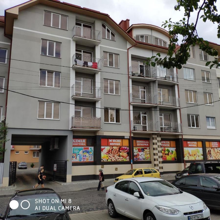 Apartments Domovik Просторная Квартира С Видом На Горы Mukaçeve Dış mekan fotoğraf