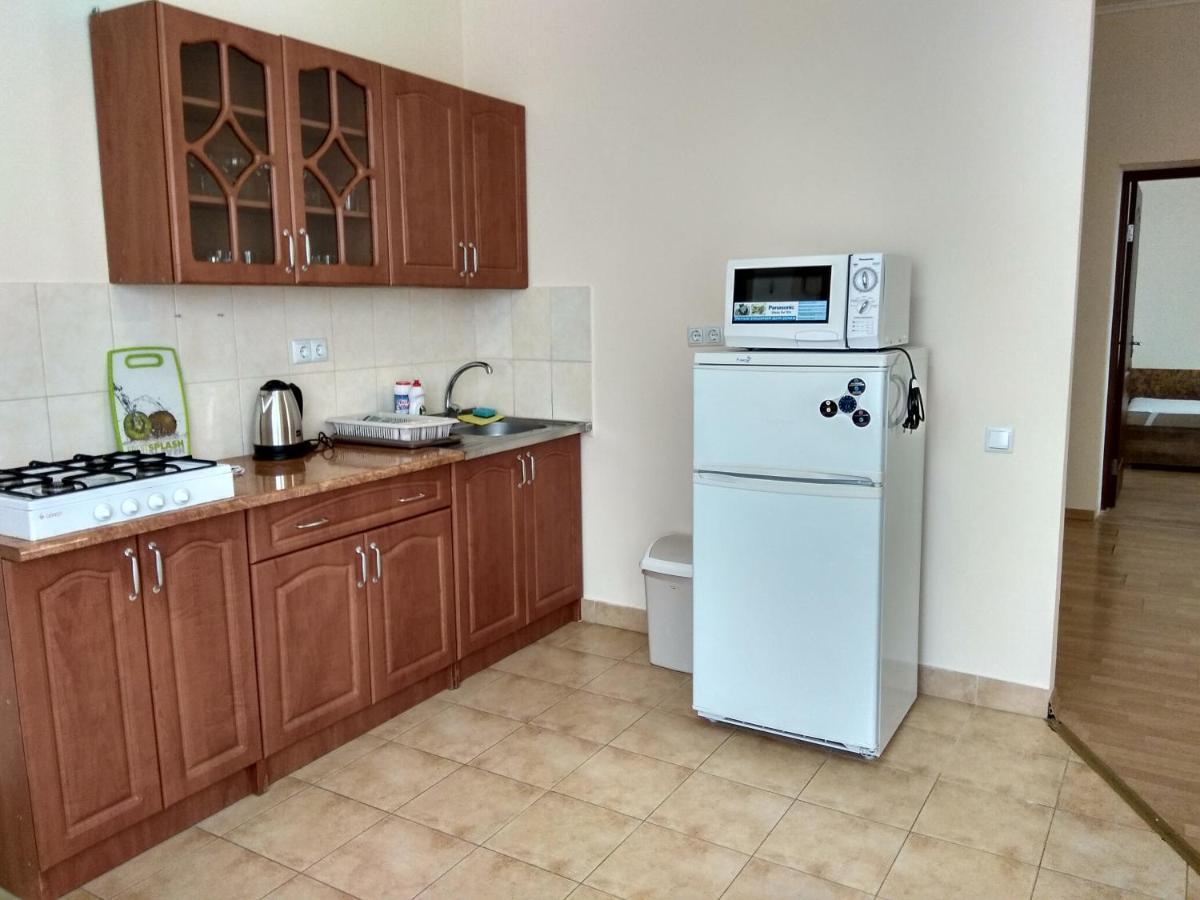 Apartments Domovik Просторная Квартира С Видом На Горы Mukaçeve Dış mekan fotoğraf