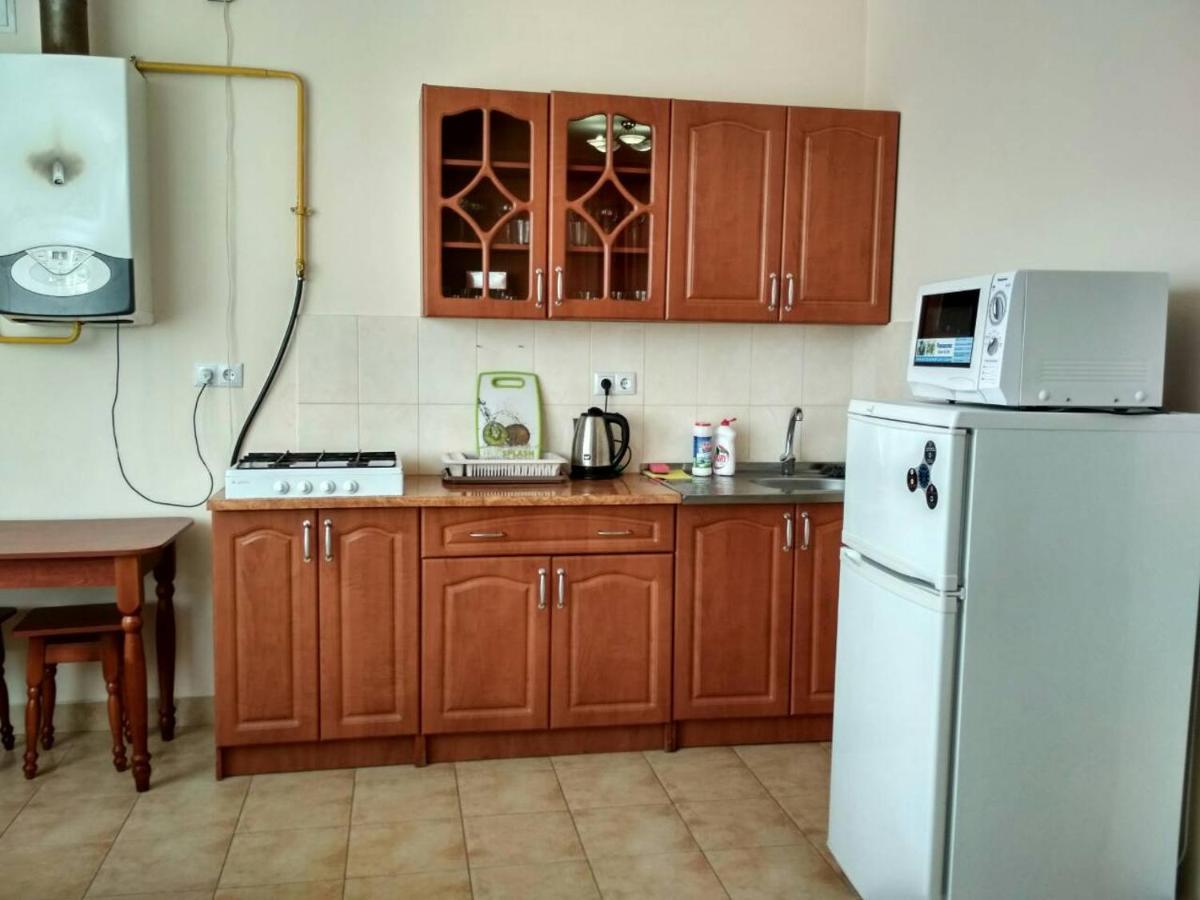 Apartments Domovik Просторная Квартира С Видом На Горы Mukaçeve Dış mekan fotoğraf